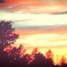 Profile Picture of Annie Bell (@anneleimkuhl) on Pinterest