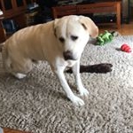 Profile Picture of David Rich (@officialdavyjones) on Instagram