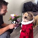 Profile Picture of Tyson Tuttle (@tysontuttle) on Instagram