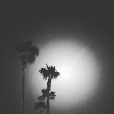 Profile Picture of Joel Samuels (@NormalEyeJoel) on Twitter