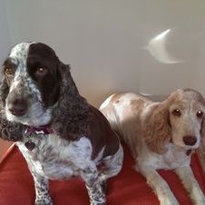 Profile Picture of Beverley Ward (@kalmynsi) on Twitter