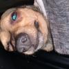 Profile Picture of Kandace Roberts (@kandace42) on Tiktok