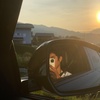 Profile Picture of   user5102088736474(@dylan.st... (@dylan.stauffer) on Tiktok