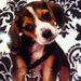 Profile Picture of Gina Reppucci (@greppucci) on Pinterest