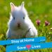 Profile Picture of Dawn Overby (@dawn.overby.779) on Facebook