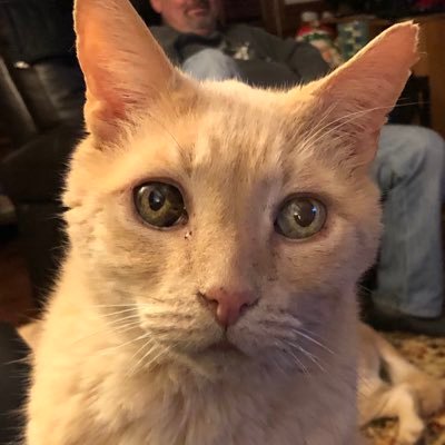 Profile Picture of Klyda (@kennethlyda) on Twitter