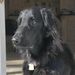Profile Picture of Lori Steck (@loriloveslove) on Pinterest