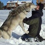 Profile Picture of Michael Parrotte (@michael_parrotte) on Instagram