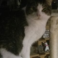 Profile Picture of marilynmccaskey6 (@marilynmccaskey6) on Tiktok