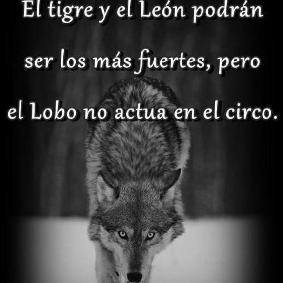 Profile Picture of Juan Pachas (@tompou) on Poshmark