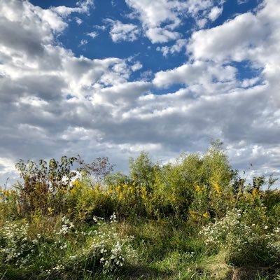 Profile Picture of Mark Dial (@MarkDial) on Twitter