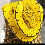 Profile Picture of Jiří Lukovský (@jirilukovsky) on Instagram