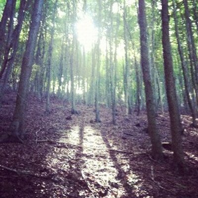 Profile Picture of Thomas (@BalkoClp) on Twitter