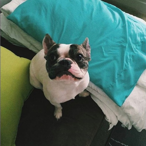 Profile Picture of Alex Houston (@a1houston) on Poshmark