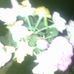 Profile Picture of Ashok Chandran (@ashok.chandran.3760) on Facebook
