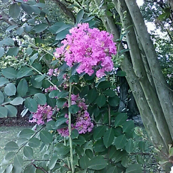 Profile Picture of Robert May (@7hurst4) on Poshmark