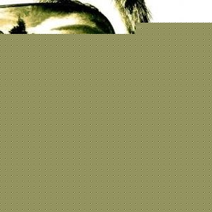 Profile Picture of Daniel Baseline (@danielbaseline) on Myspace