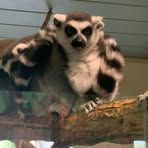 Profile Picture of Michael Shirley (@Michael-Shirley) on Facebook