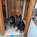 Jimmy Misch - Facebook Profile Picture of Jimmy Misch (@Jimmy-Misch) on Facebook