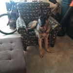 Jacob Spindler - Instagram Profile Picture of Jacob Spindler (@xd_jacob07) on Instagram