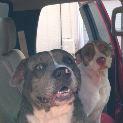 Profile Picture of Drew Hartmann (@drewhart76) on Twitter