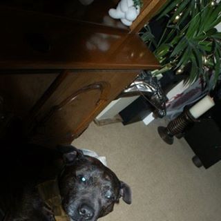 Profile Picture of Buffy Marshall (@buffy.marshall.3) on Facebook