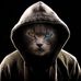 Profile Picture of David Jaczko (@david.jaczko.9) on Facebook