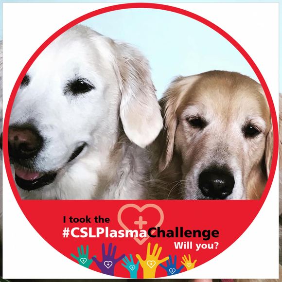 Profile Picture of Karen Emord (@karen_emord) on Poshmark