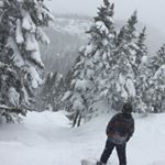 Profile Picture of Benjamin Tremblay (@bentrembs) on Instagram