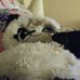 Profile Picture of Dawn Deno (@dawn.deno.14) on Facebook