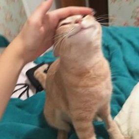 Profile Picture of Mug (@AndrLennon2) on Twitter