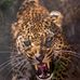 Profile Picture of Nicholas Schram (@nicholas.schram.39) on Facebook
