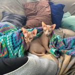 Profile Picture of Jo-Ann Reid (@joanncampi) on Instagram