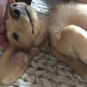 Profile Picture of Jasmine Abraham (@JasmineAbraham-js5oj) on Youtube