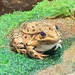 Profile Picture of Liv Scheick (@liv.scheick) on Facebook