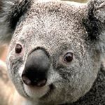 Profile Picture of Jean-François Clausen (@jeanfrancoisclausen) on Instagram