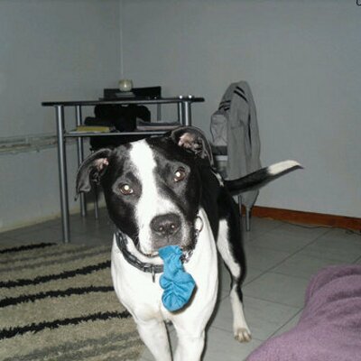 Profile Picture of Garry A Kempton (@gakempton) on Twitter