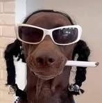 Profile Picture of Richard Piley (@Richard-Piley) on Facebook