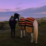 Profile Picture of Hazel & Harley🇬🇧 (@harleyofclarence) on Instagram