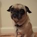 Profile Picture of Raffi Sim (@raffi.sim) on Facebook