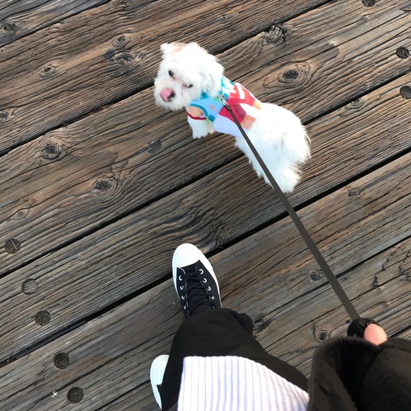 Profile Picture of Nickole Liu (@nickolestl) on Poshmark