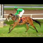 Profile Picture of Matthew Badal (@matthew.badal.54) on Facebook