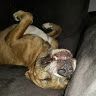 Profile Picture of Aaron Fultz (@aaronfultz427) on Pinterest
