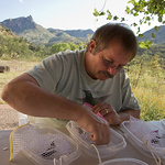 Profile Picture of Don Powers (@Lampornis) on Flickr