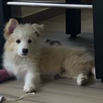 Profile Picture of Bryan Poppe (@poppe.bryan) on Instagram