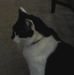 Profile Picture of Howard Bright (@howard.bright.758) on Facebook