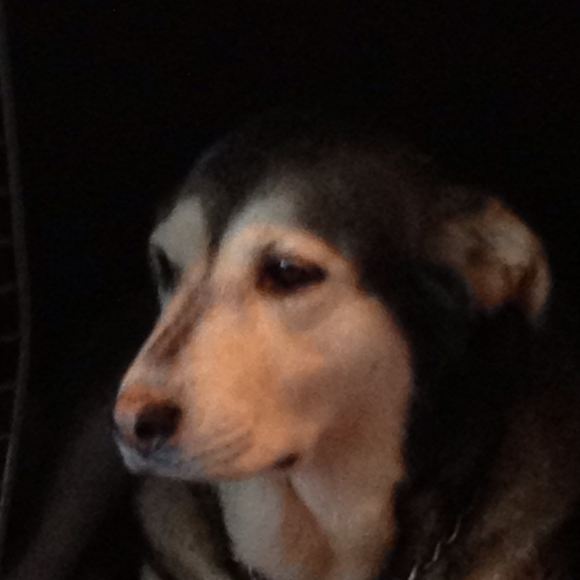 Profile Picture of Evee Enard (@partyof7) on Poshmark