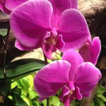 Profile Picture of paultressel (@paultressel) on Instagram