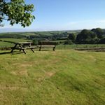 Tony Golding - Instagram Profile Picture of Tony Golding (@brinsdon1234) on Instagram