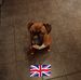 Profile Picture of David Mccook (@david.mccook.3910) on Facebook